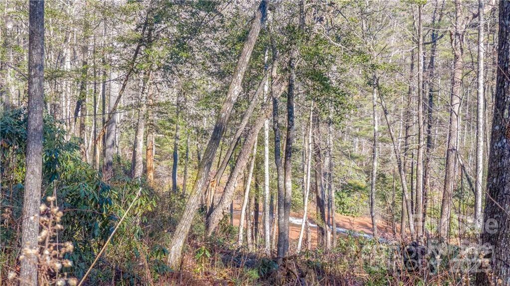 Tbd Toxaway Falls Drive Lake Toxaway NC 28747