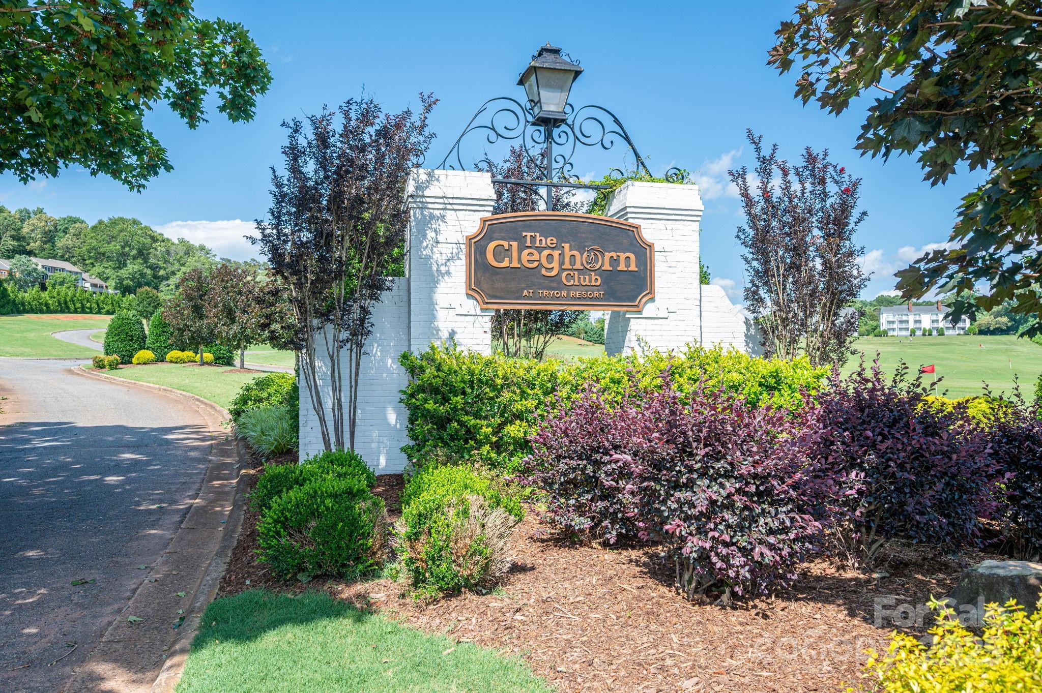 Lot #21 Moss Drive Rutherfordton NC 28139
