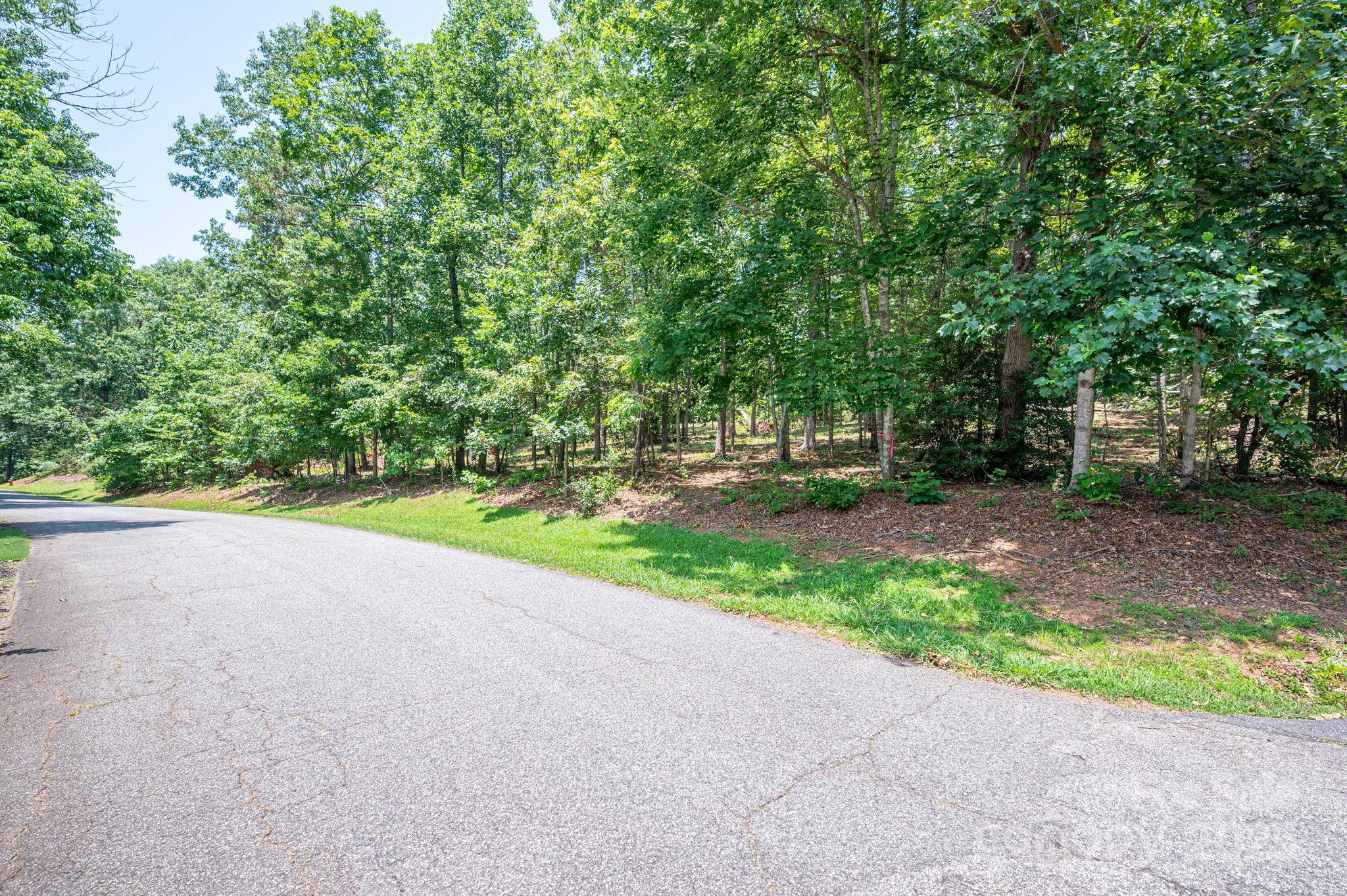 Lot #21 Moss Drive Rutherfordton NC 28139