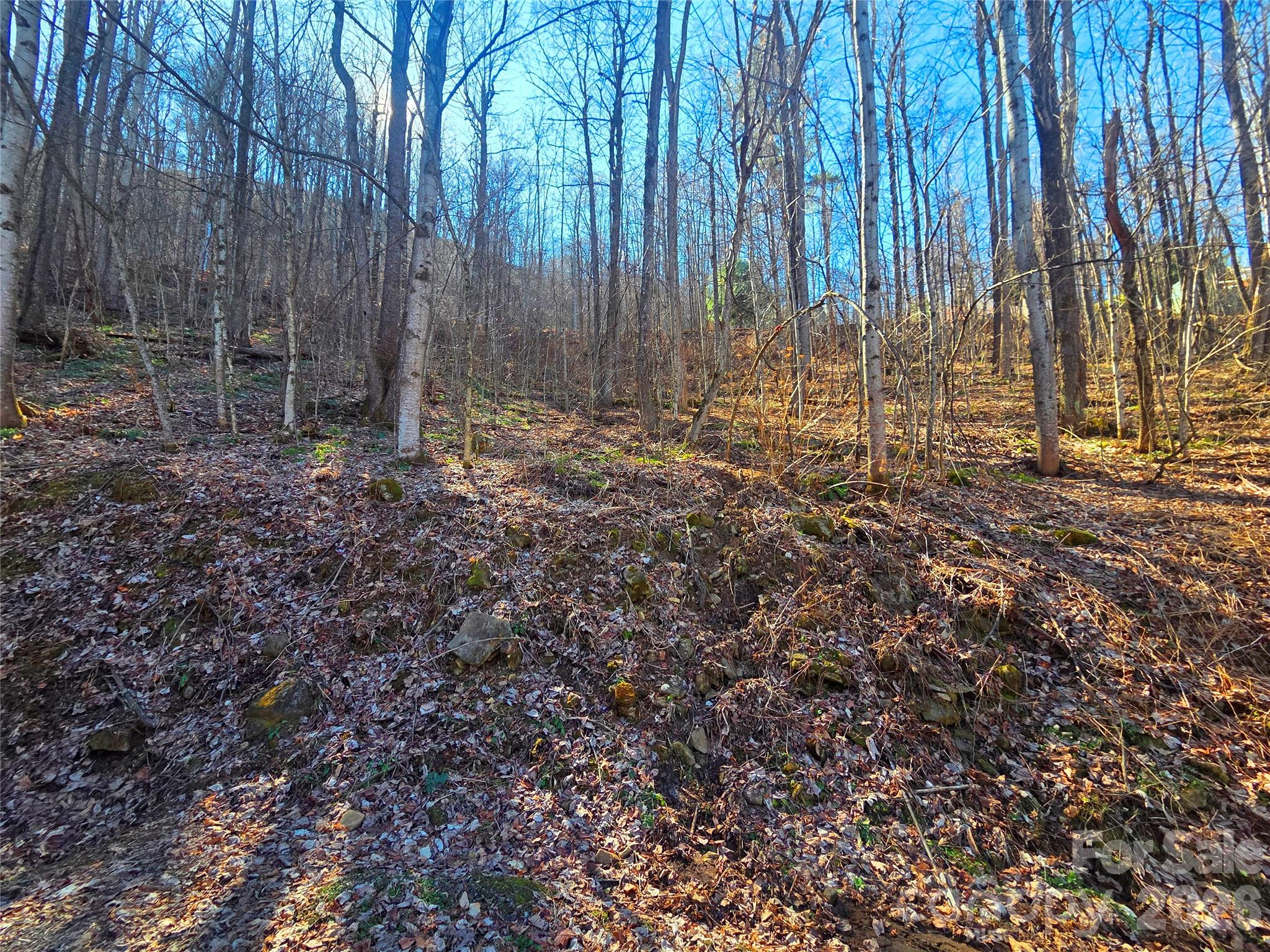 160 Slippery Rock Road Waynesville NC 28785
