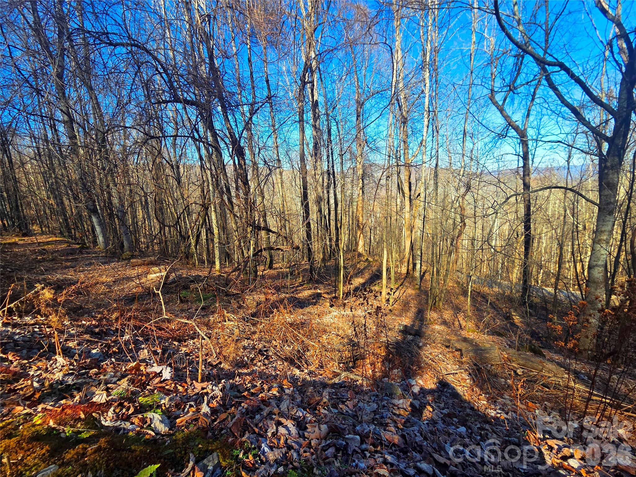 160 Slippery Rock Road Waynesville NC 28785