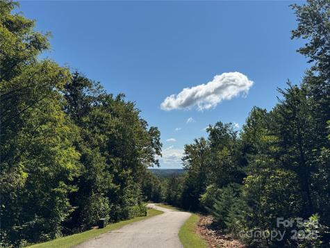 0 Bear Cliff Way Lake Lure NC 28746