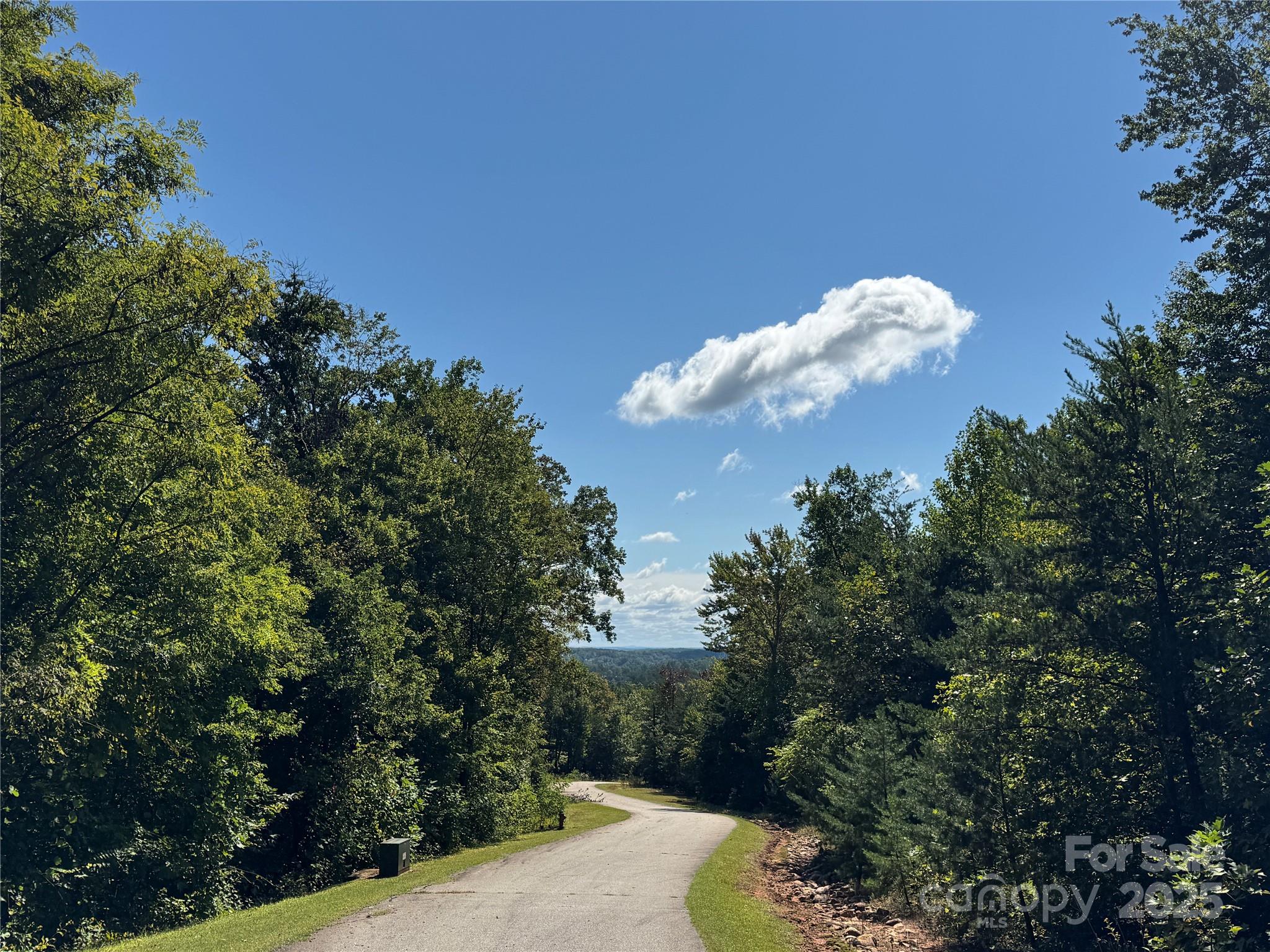 0 Bear Cliff Way Lake Lure NC 28746