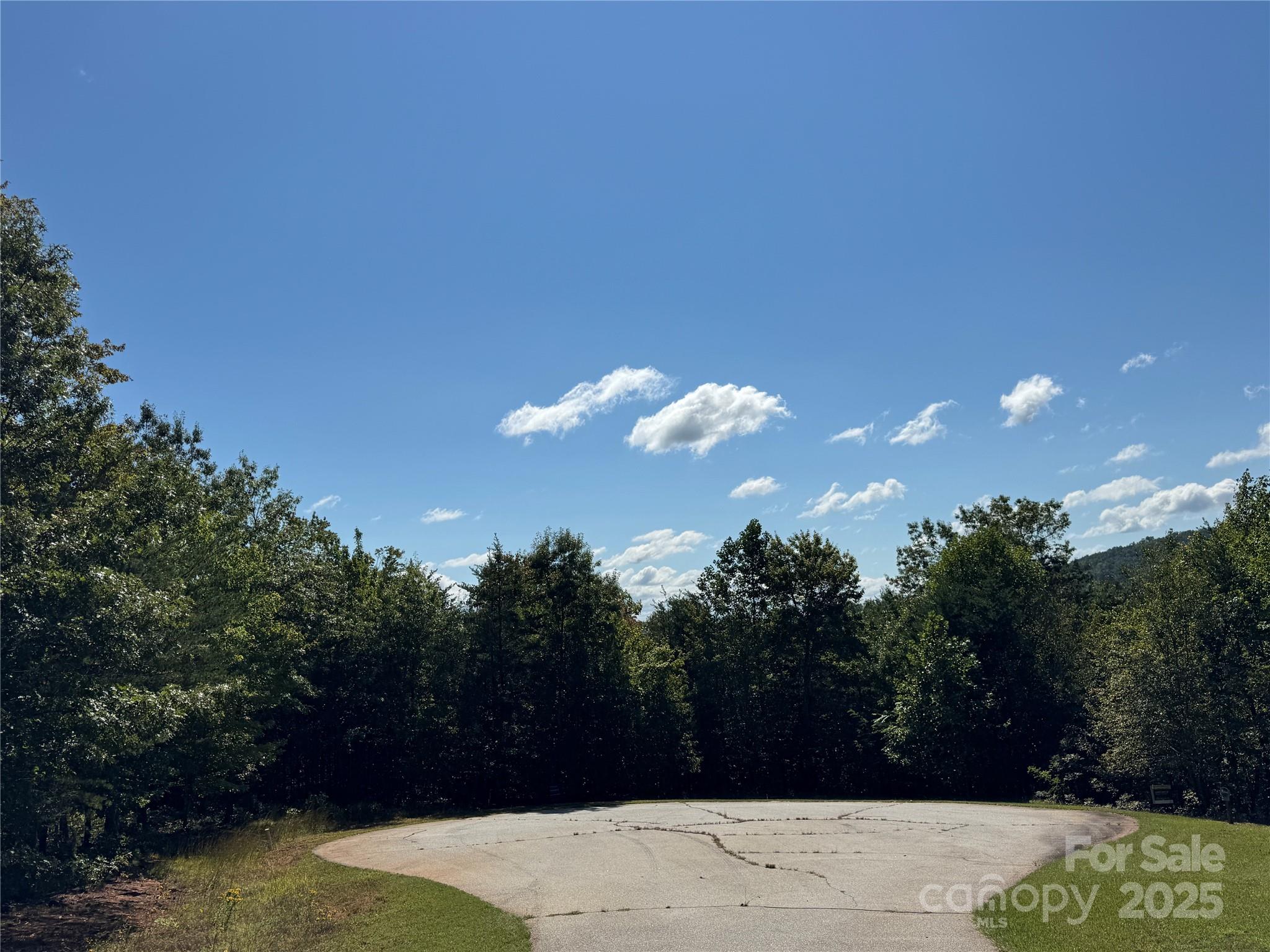 0 Bear Cliff Way Lake Lure NC 28746