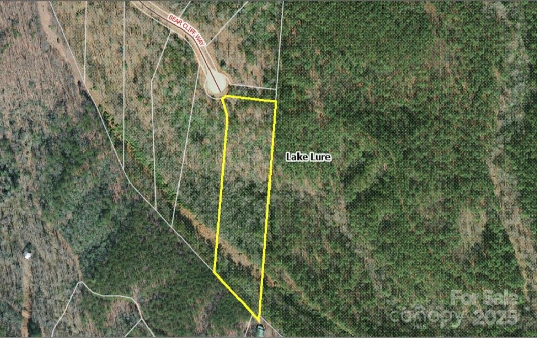 0 Bear Cliff Way Lake Lure NC 28746