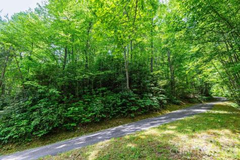 46 Widgeon Way Whittier NC 28789