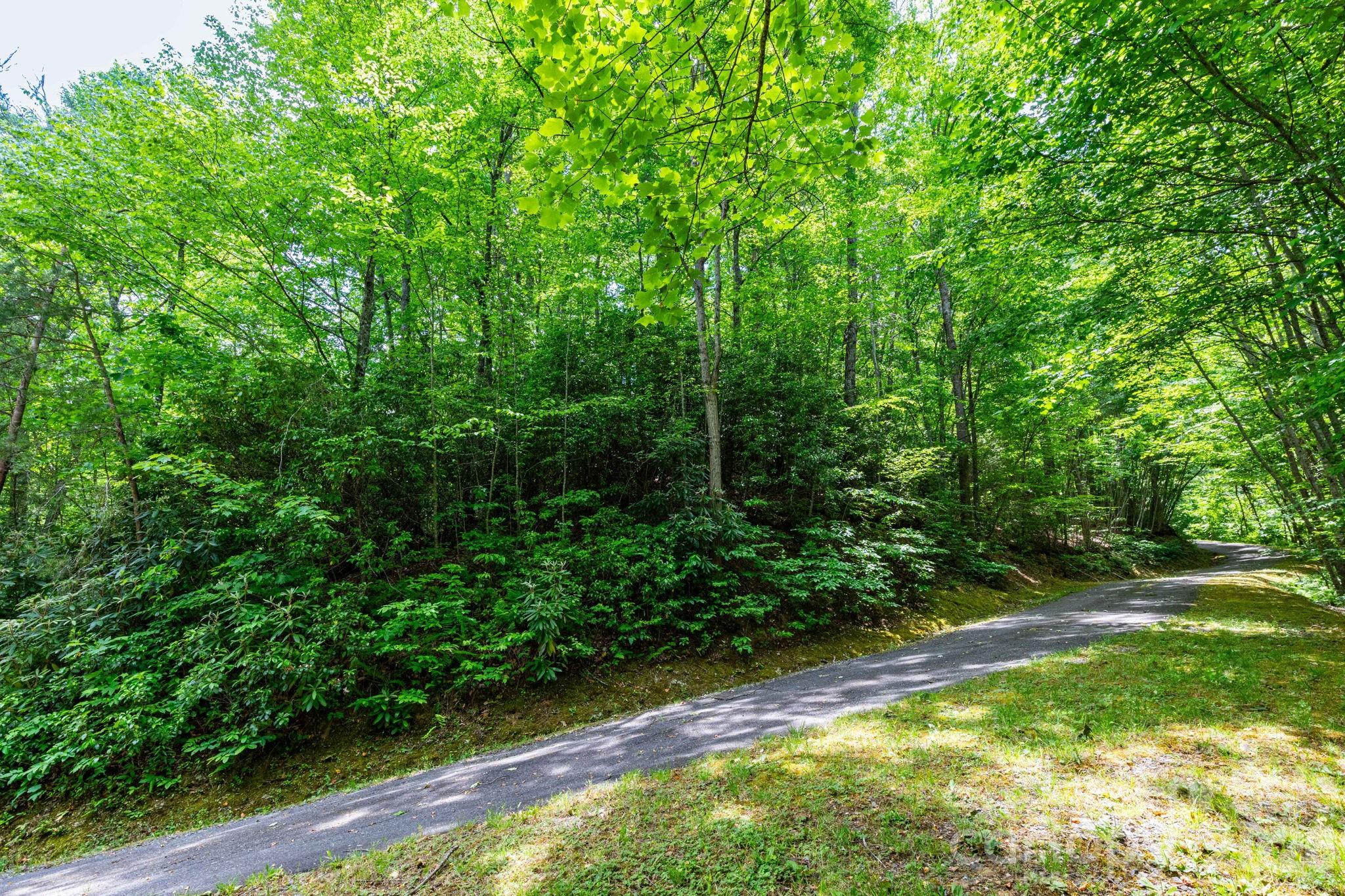 46 Widgeon Way Whittier NC 28789