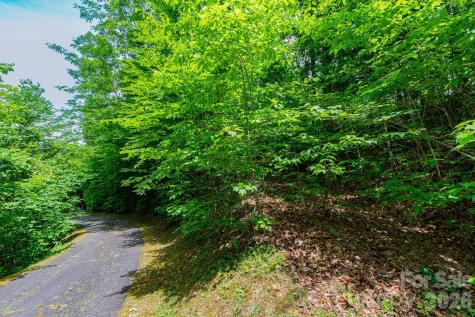 46 Widgeon Way Whittier NC 28789