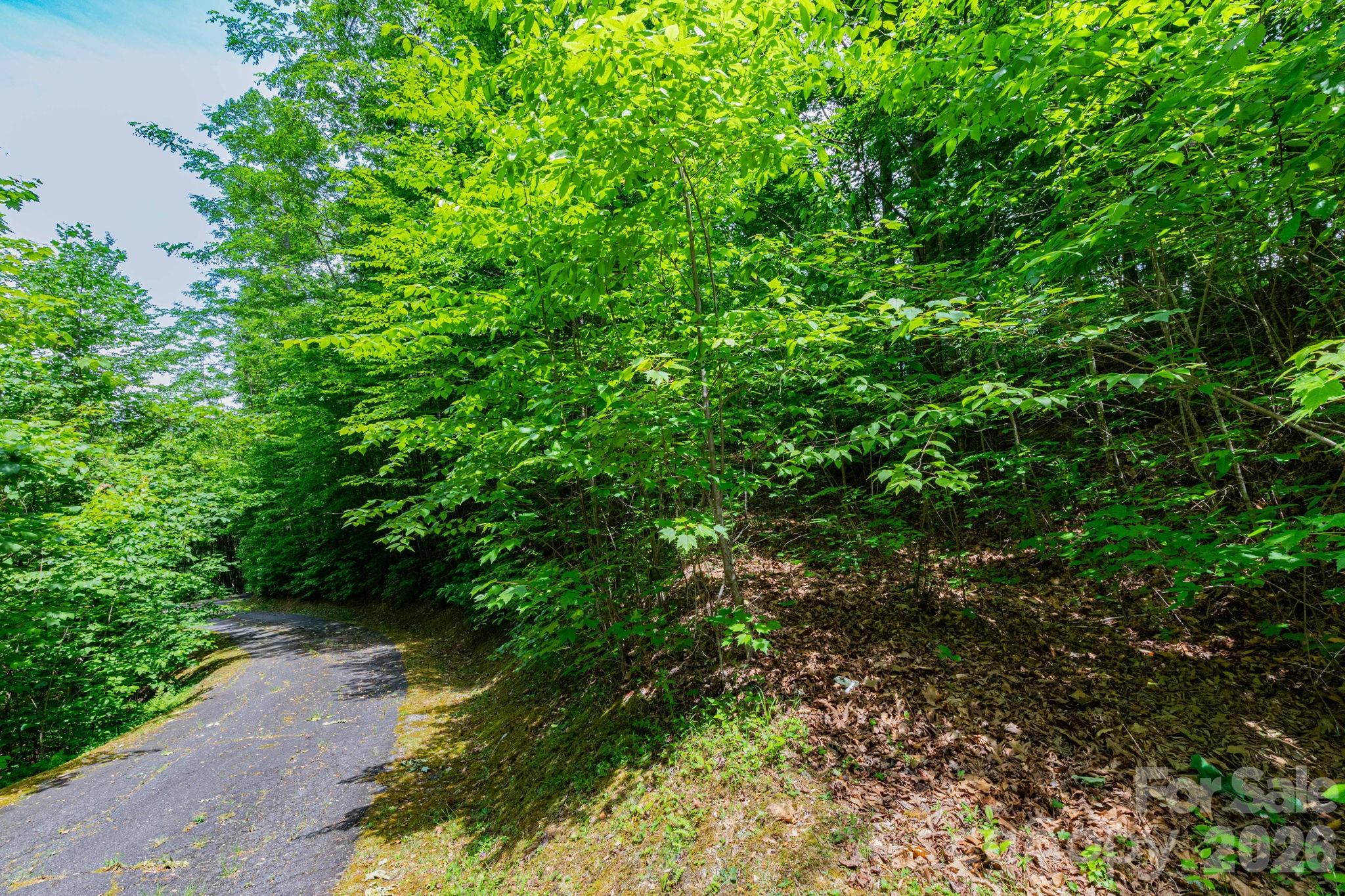 46 Widgeon Way Whittier NC 28789