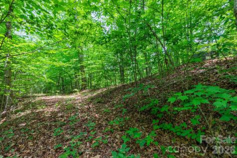 46 Widgeon Way Whittier NC 28789
