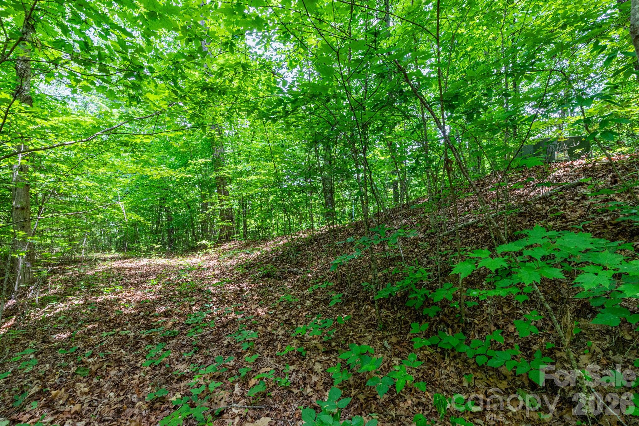 46 Widgeon Way Whittier NC 28789