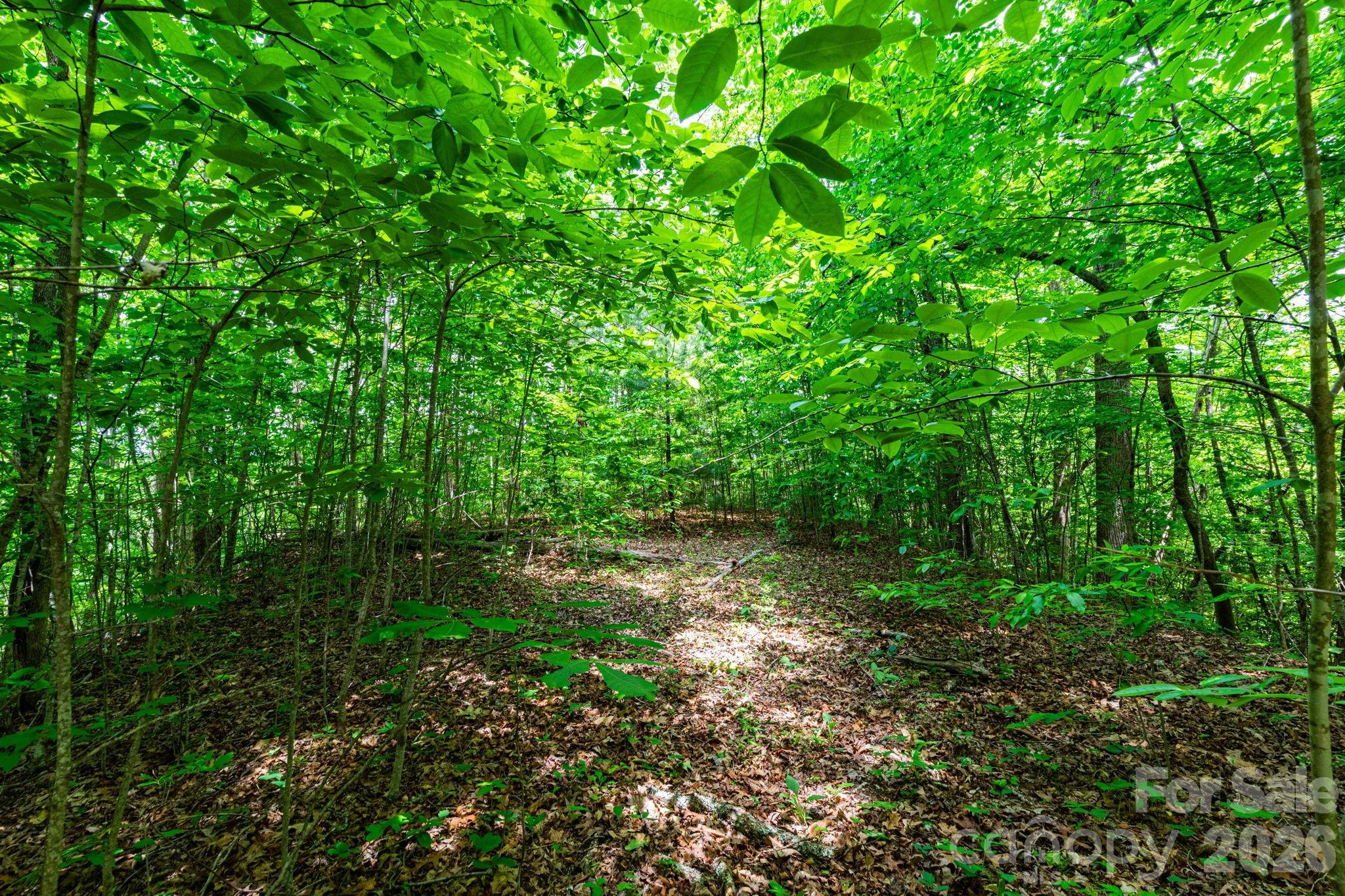 46 Widgeon Way Whittier NC 28789