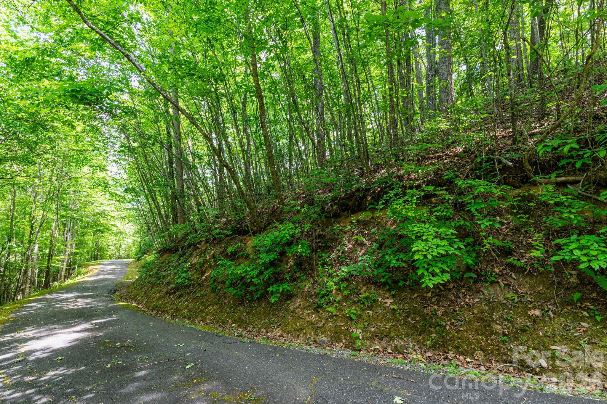 46 Widgeon Way Whittier NC 28789