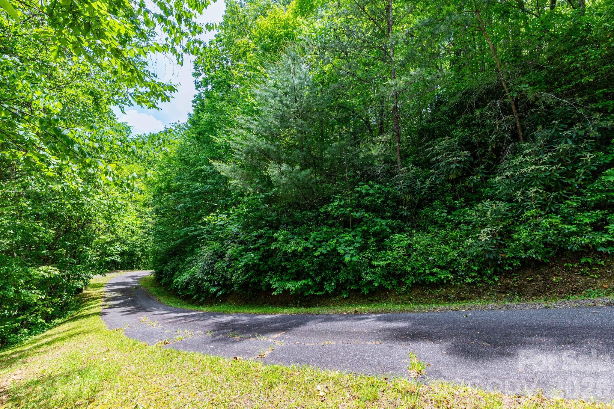 46 Widgeon Way Whittier NC 28789
