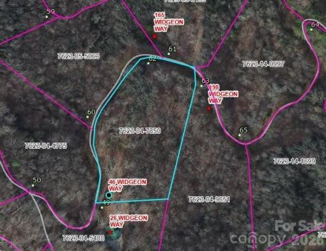 46 Widgeon Way Whittier NC 28789