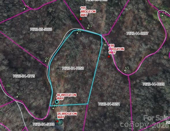 46 Widgeon Way Whittier NC 28789