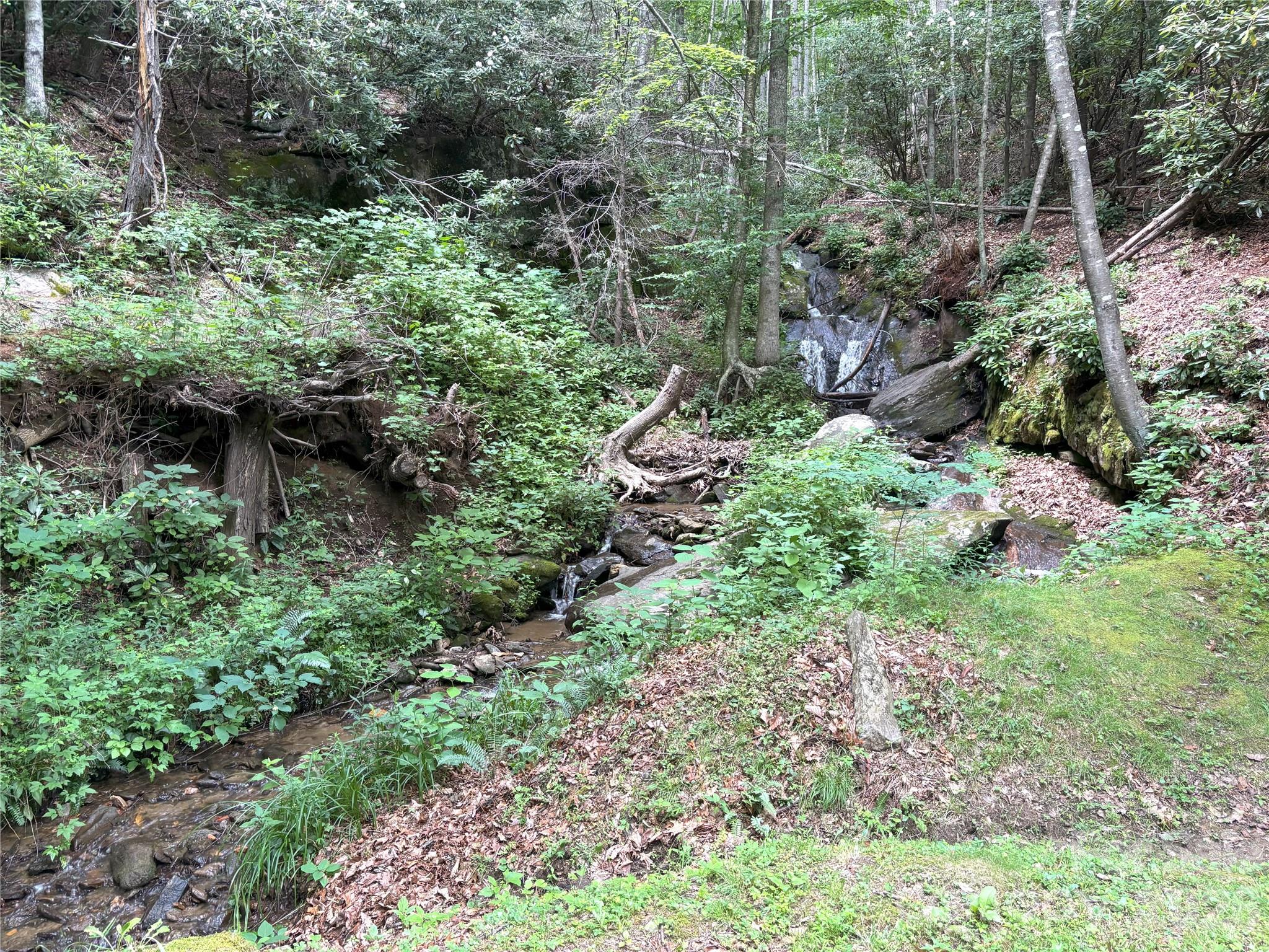 000 Valley View Drive Maggie Valley NC 28751