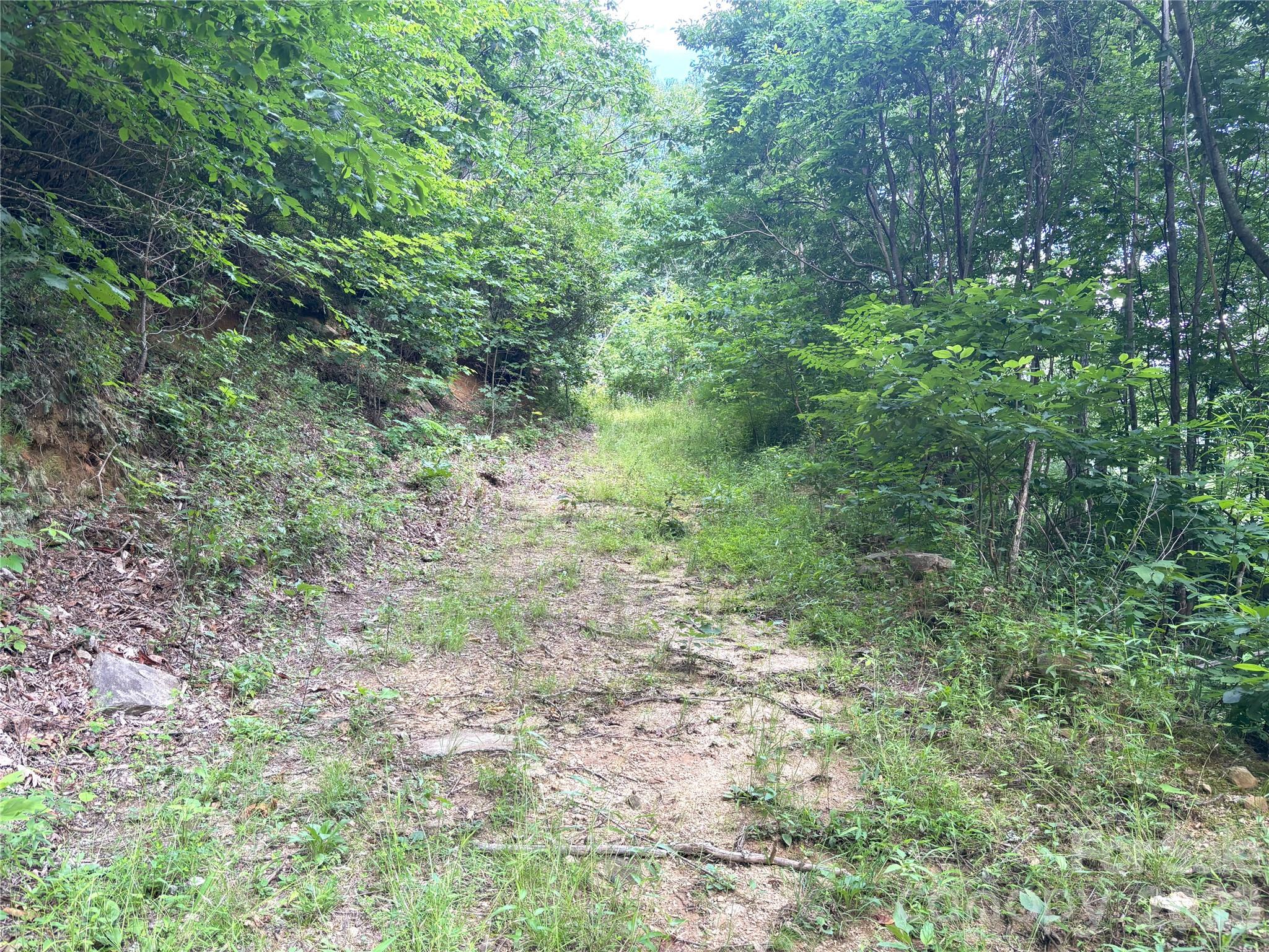 000 Valley View Drive Maggie Valley NC 28751