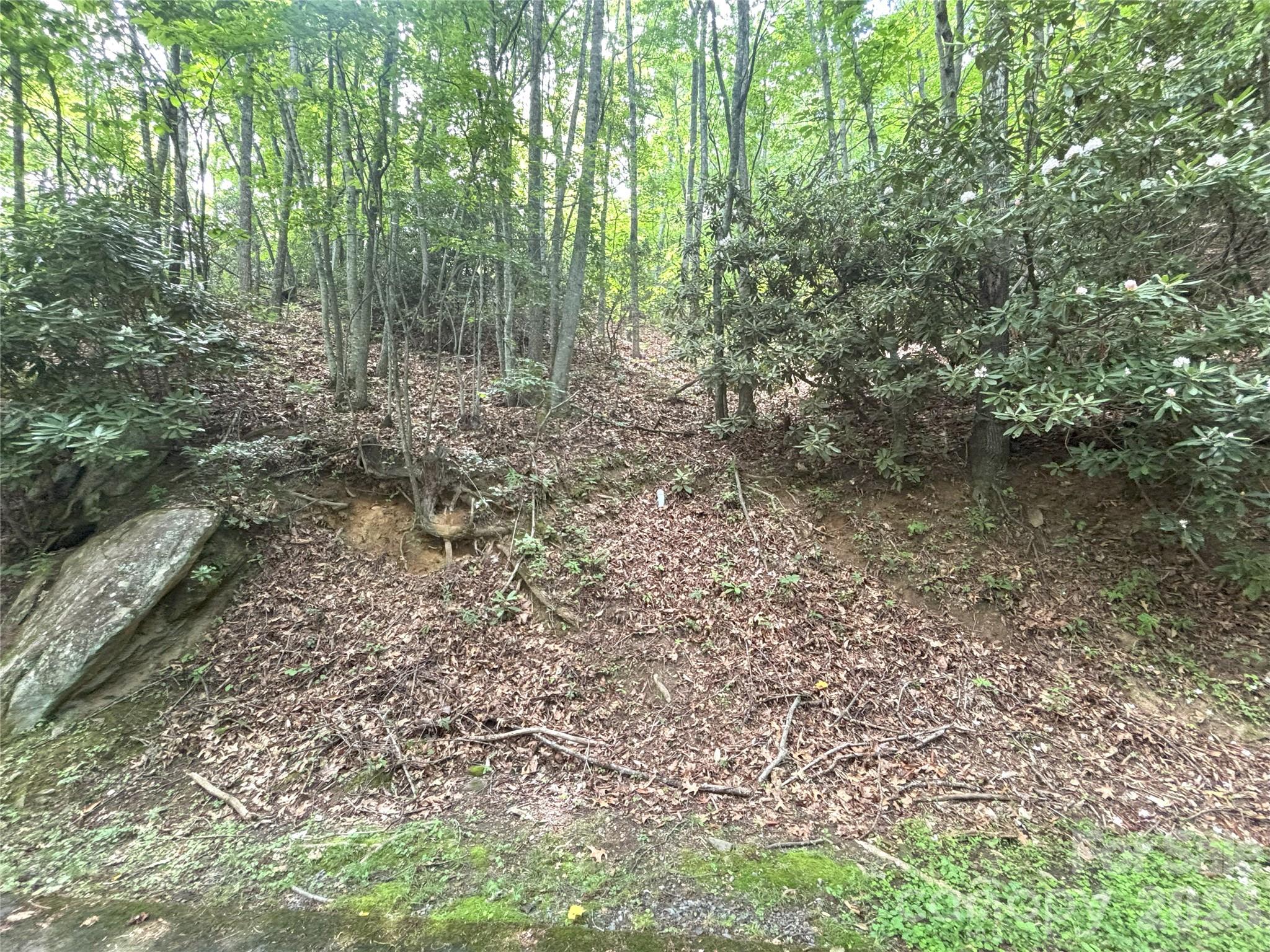 000 Valley View Drive Maggie Valley NC 28751