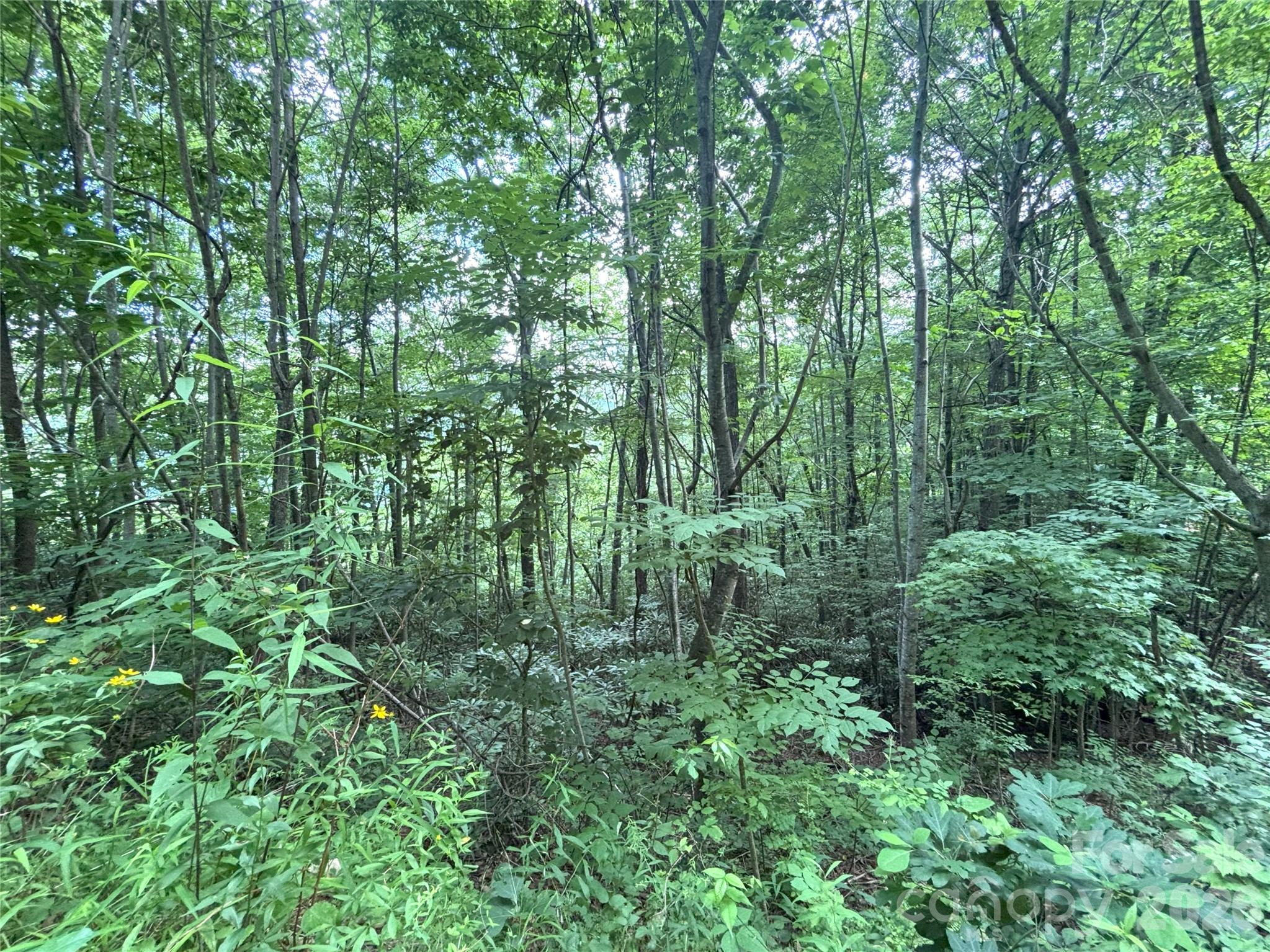 000 Valley View Drive Maggie Valley NC 28751
