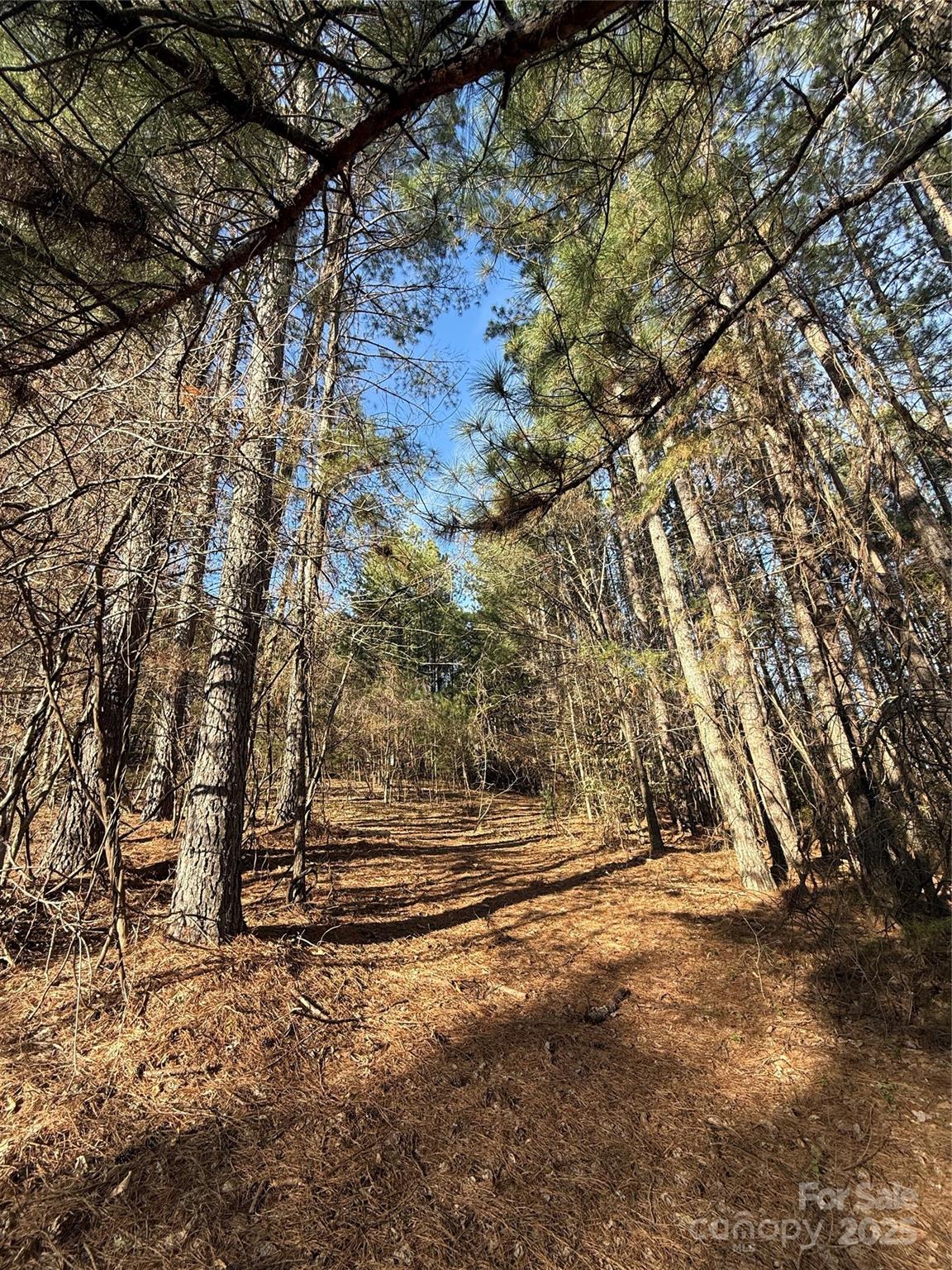5126 Hurricane Hill Road Granite Falls NC 28630