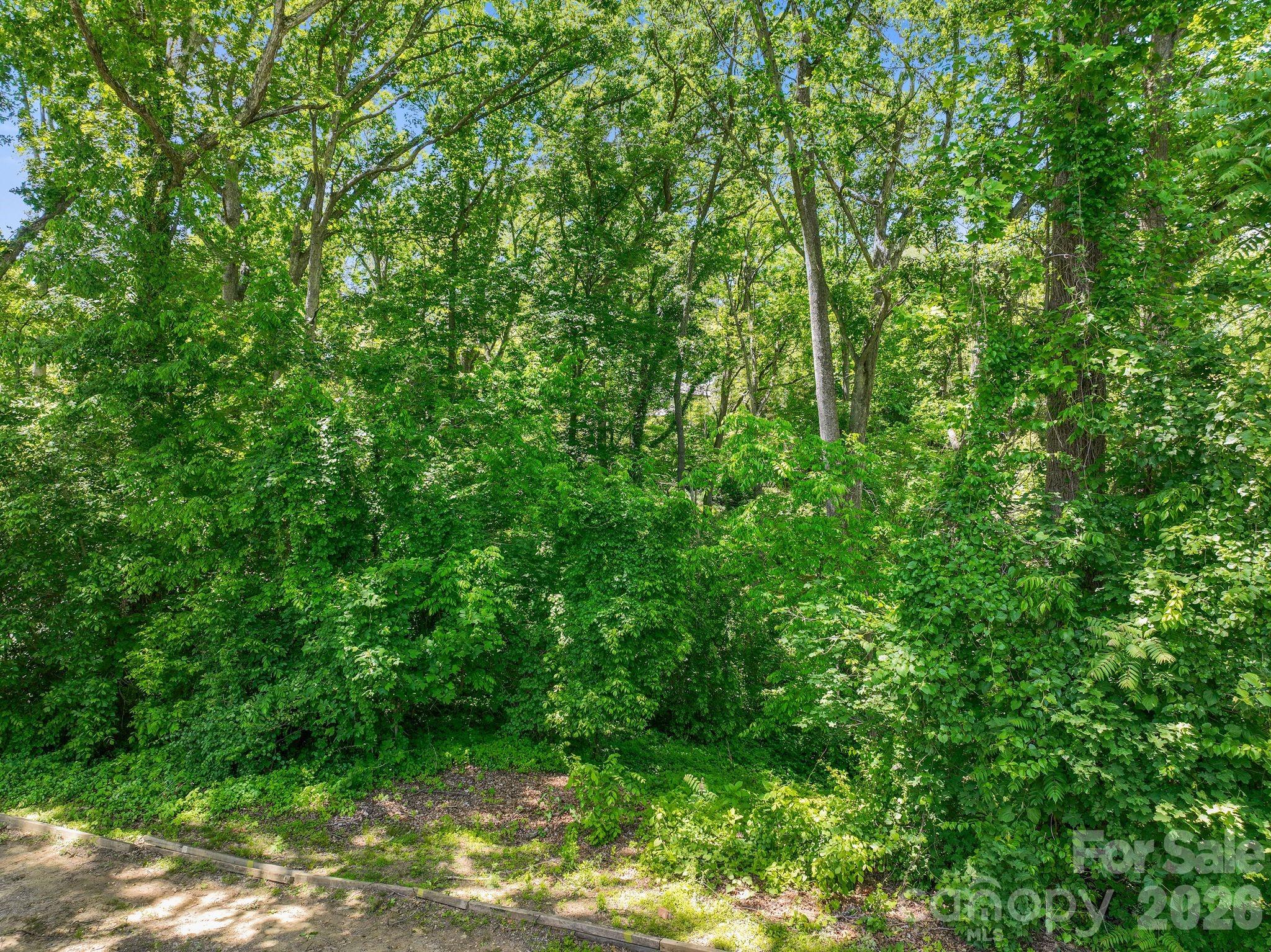 99999 Montford Avenue Asheville NC 28801