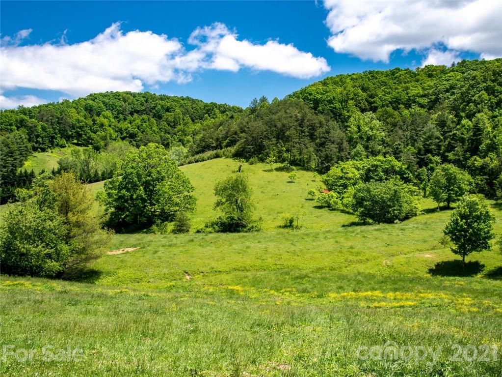 432 Green Valley Road Leicester NC 28748