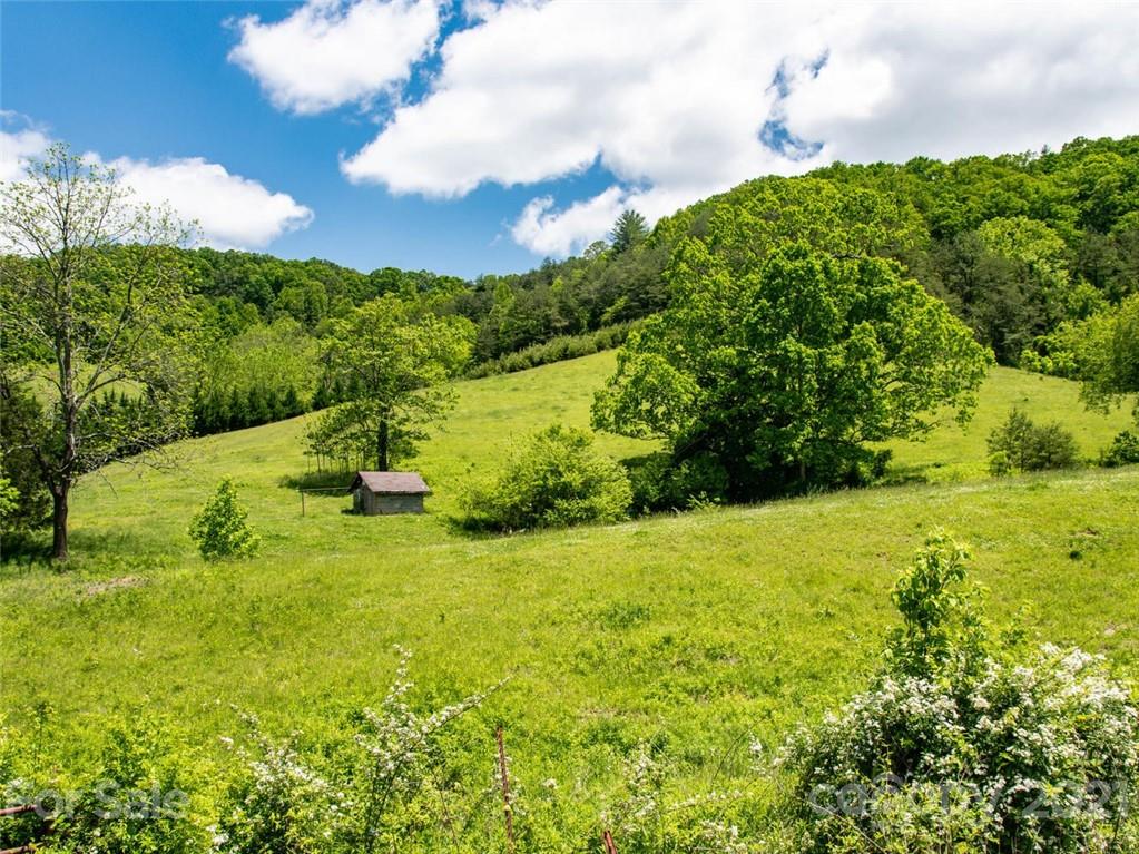 432 Green Valley Road Leicester NC 28748
