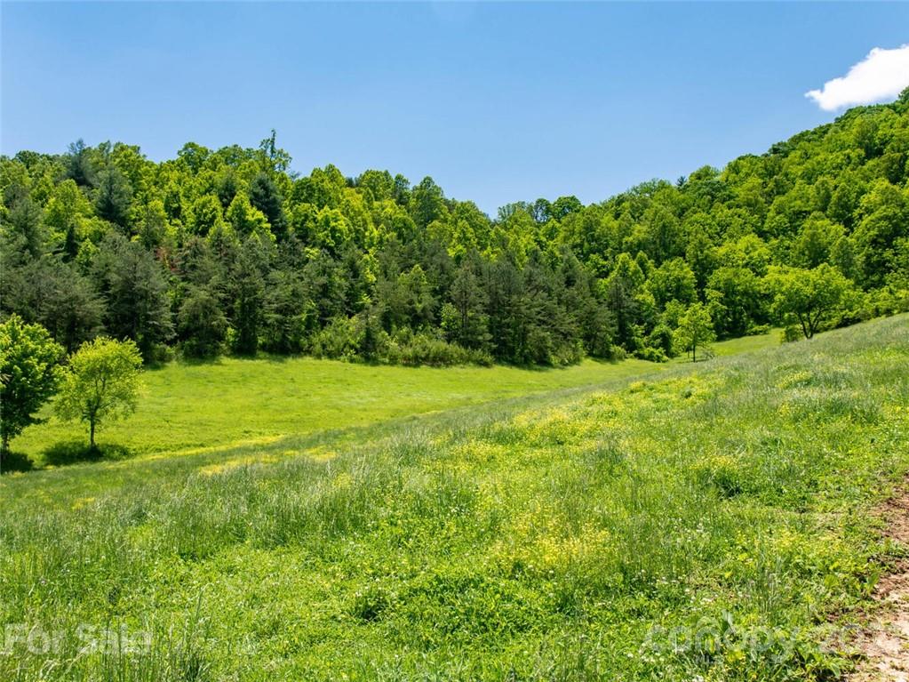 432 Green Valley Road Leicester NC 28748