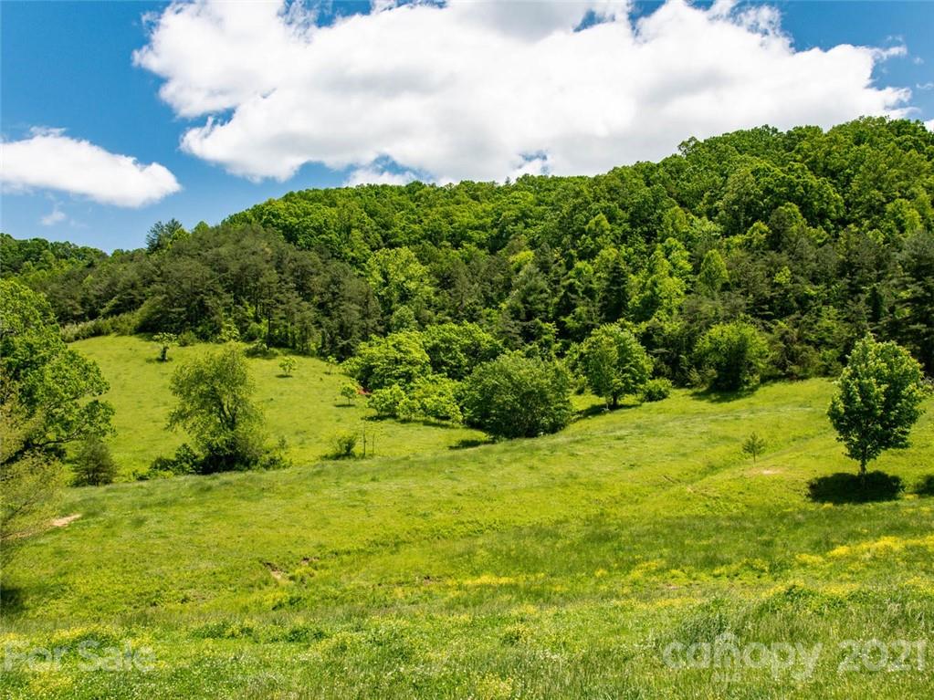 432 Green Valley Road Leicester NC 28748
