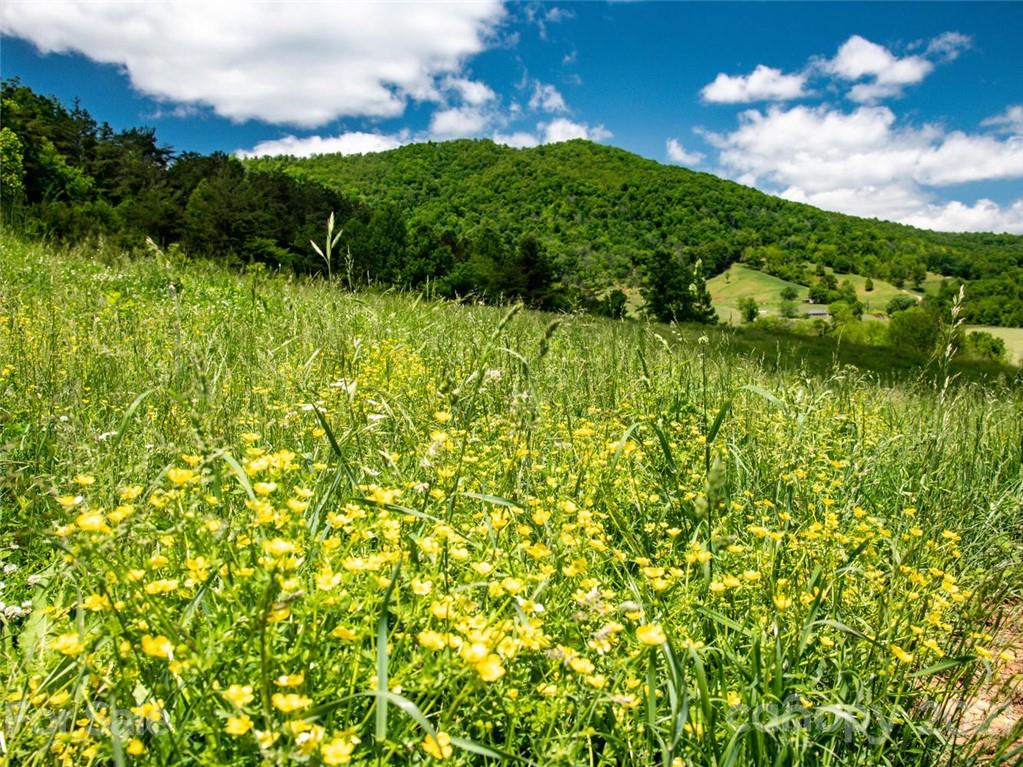 432 Green Valley Road Leicester NC 28748