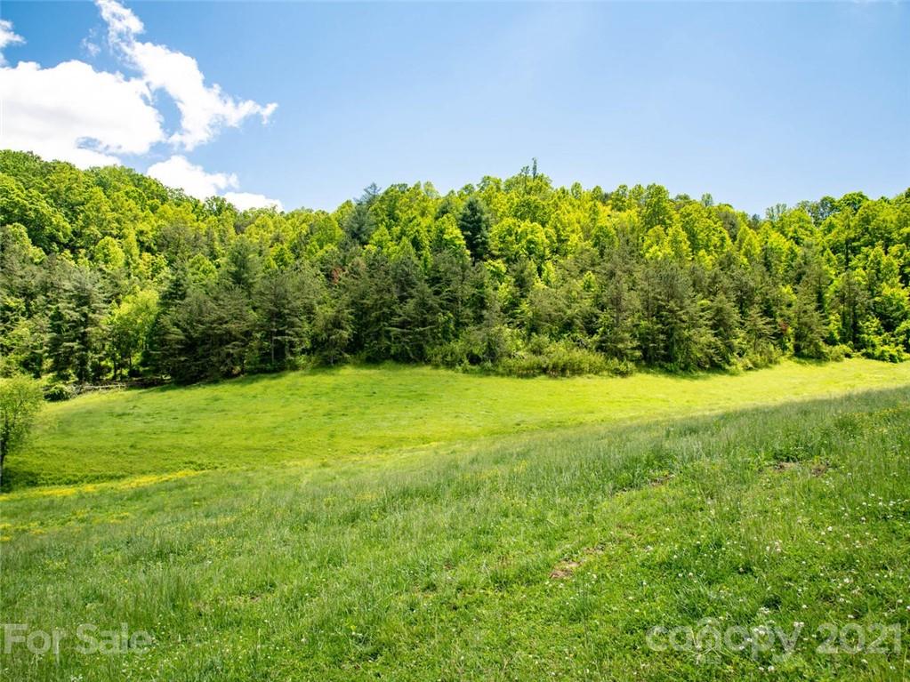 432 Green Valley Road Leicester NC 28748