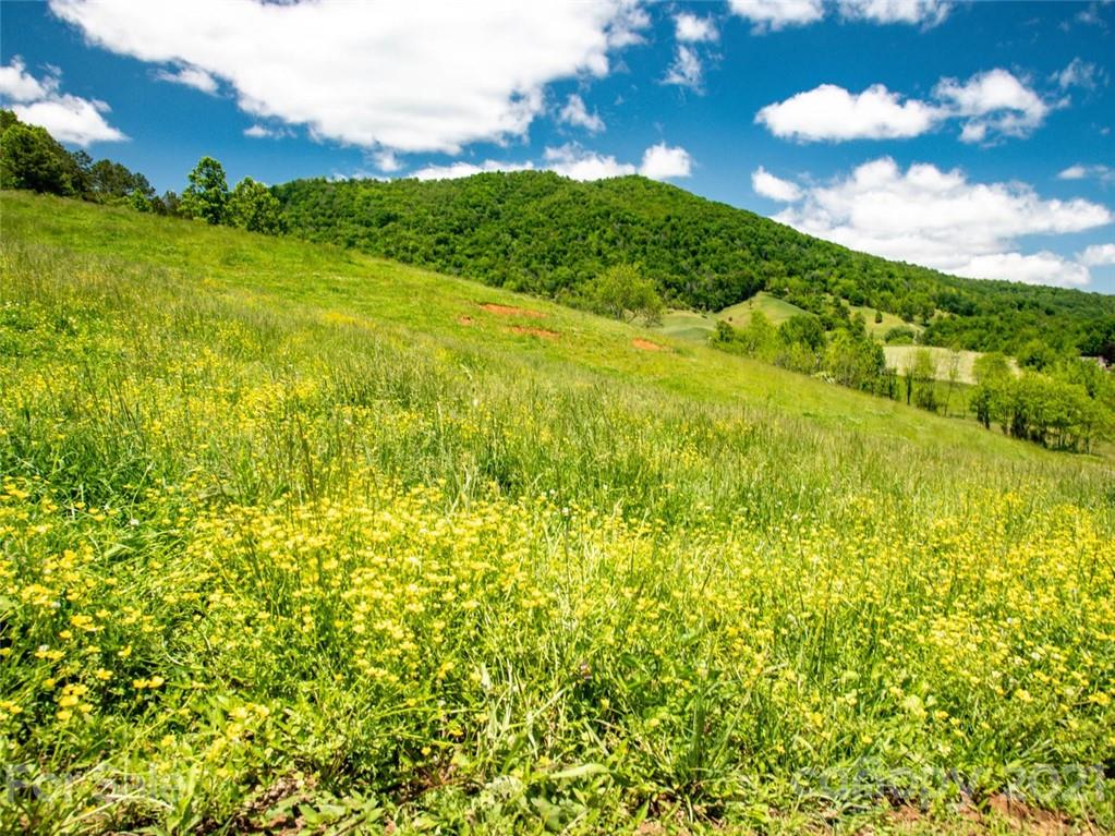 432 Green Valley Road Leicester NC 28748