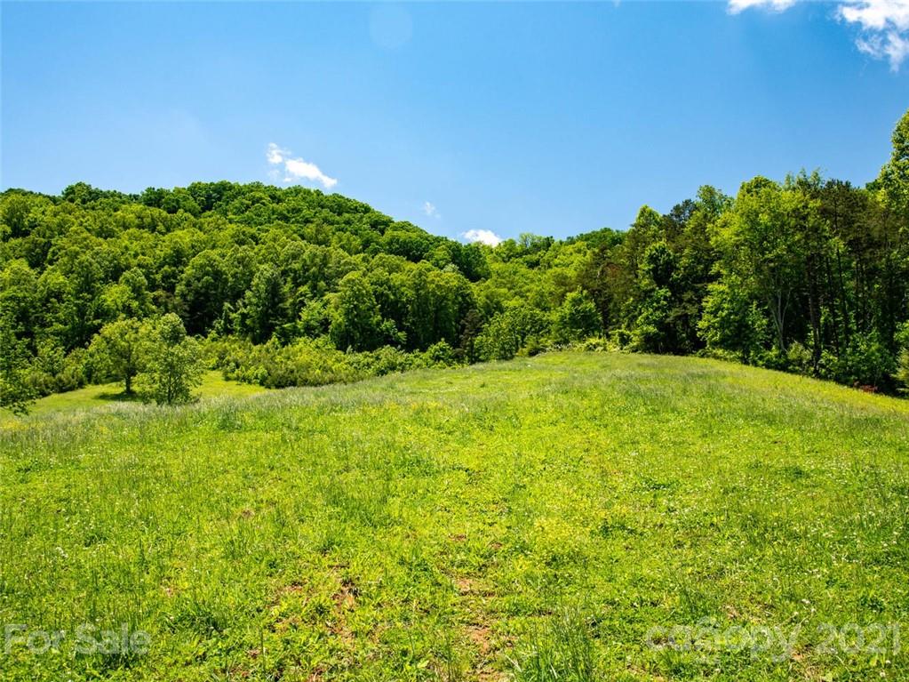 432 Green Valley Road Leicester NC 28748