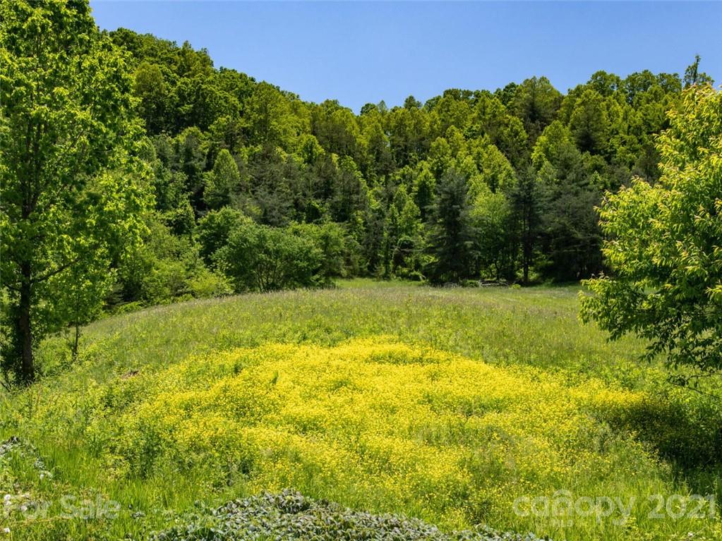 432 Green Valley Road Leicester NC 28748