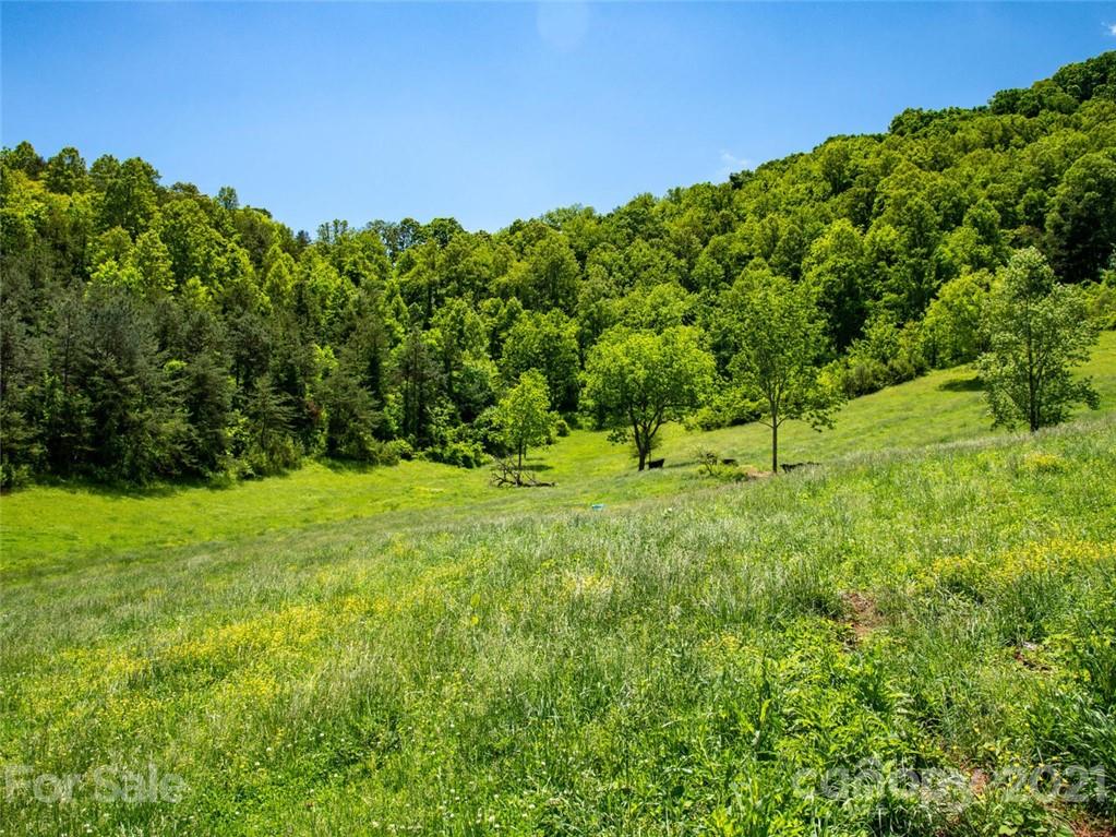 432 Green Valley Road Leicester NC 28748