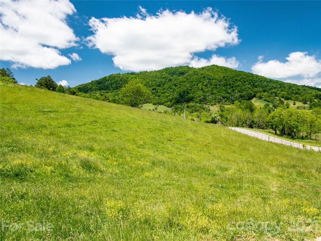 432 Green Valley Road Leicester NC 28748