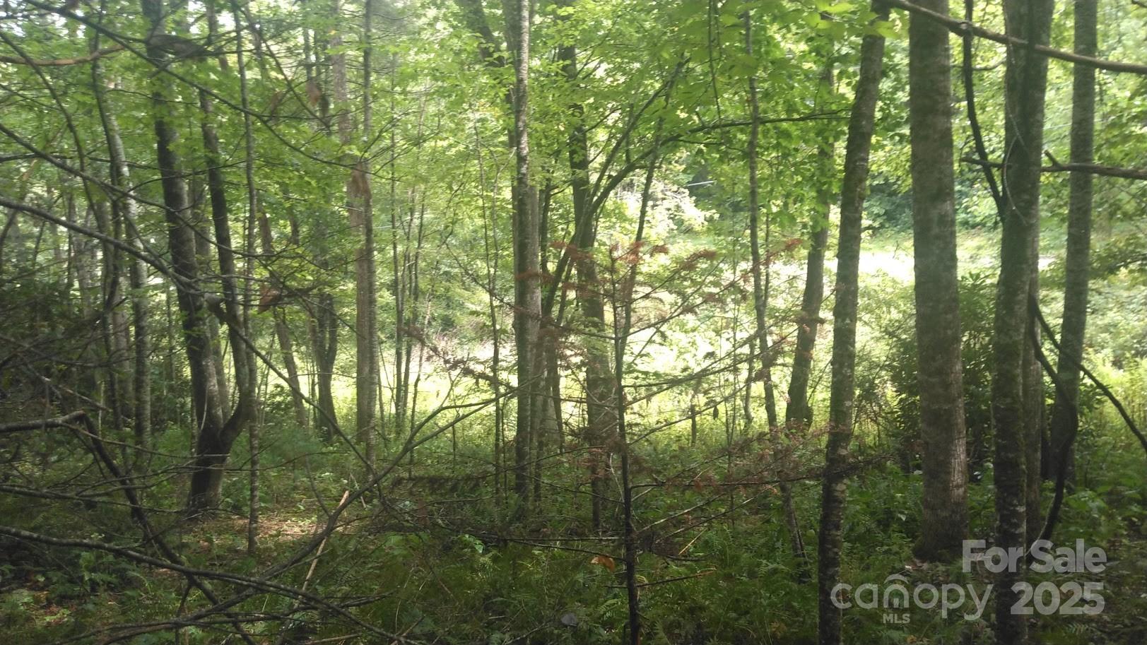 7360 Nc 183 Highway Newland NC 28657