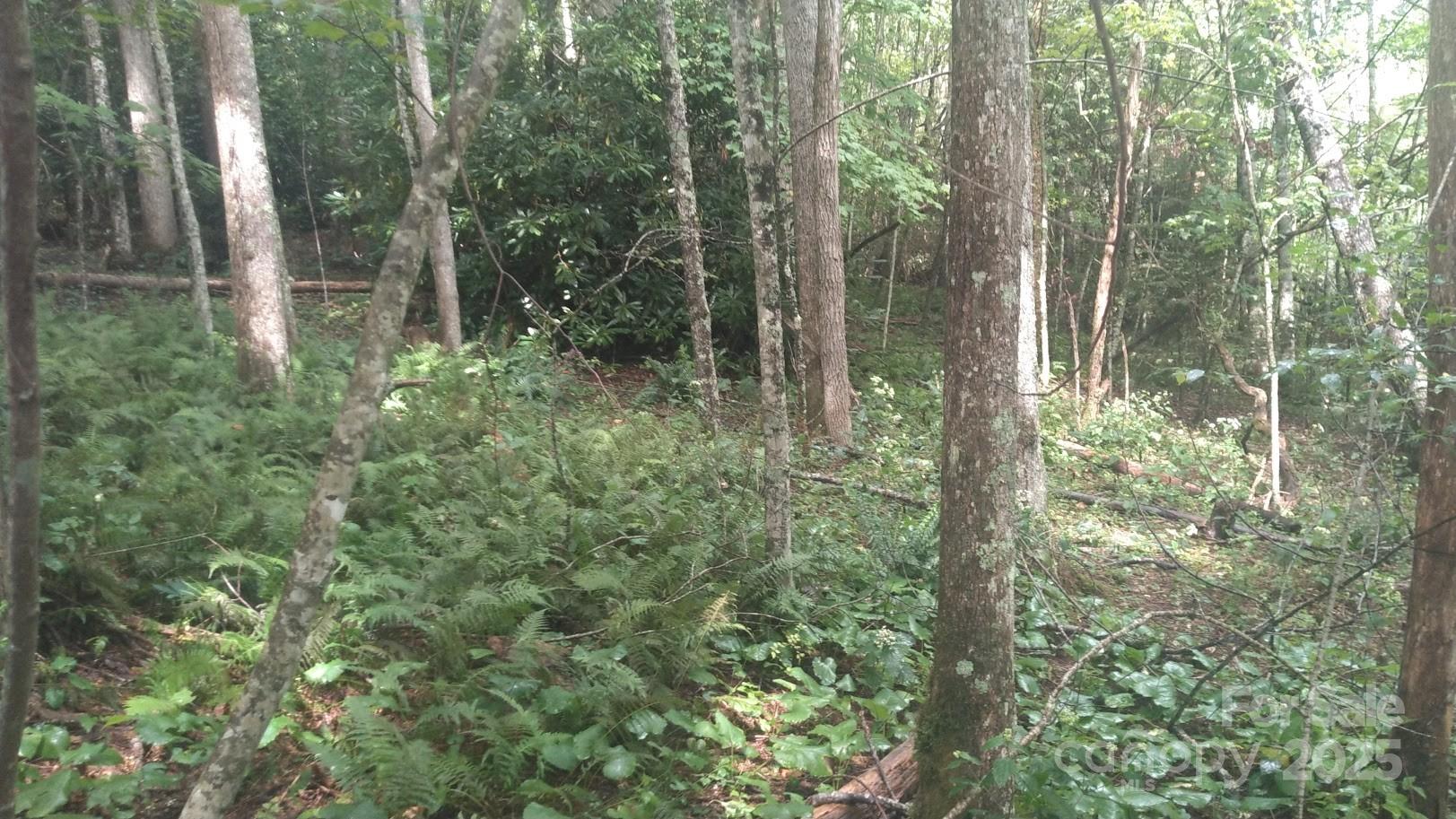 7360 Nc 183 Highway Newland NC 28657