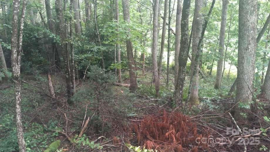 7360 Nc 183 Highway Newland NC 28657