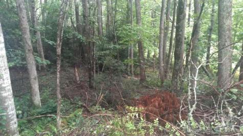 7360 Nc 183 Highway Newland NC 28657