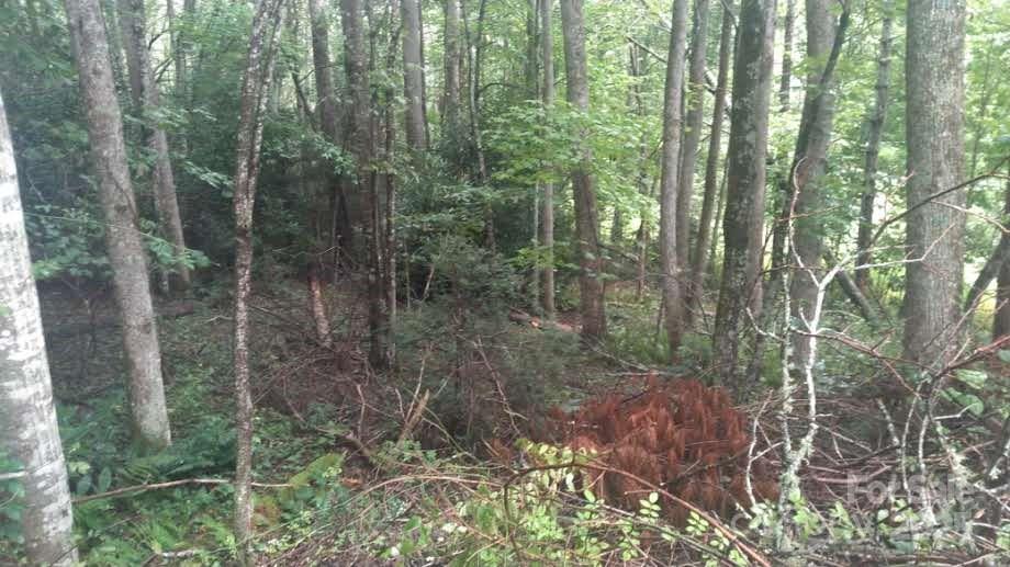 7360 Nc 183 Highway Newland NC 28657