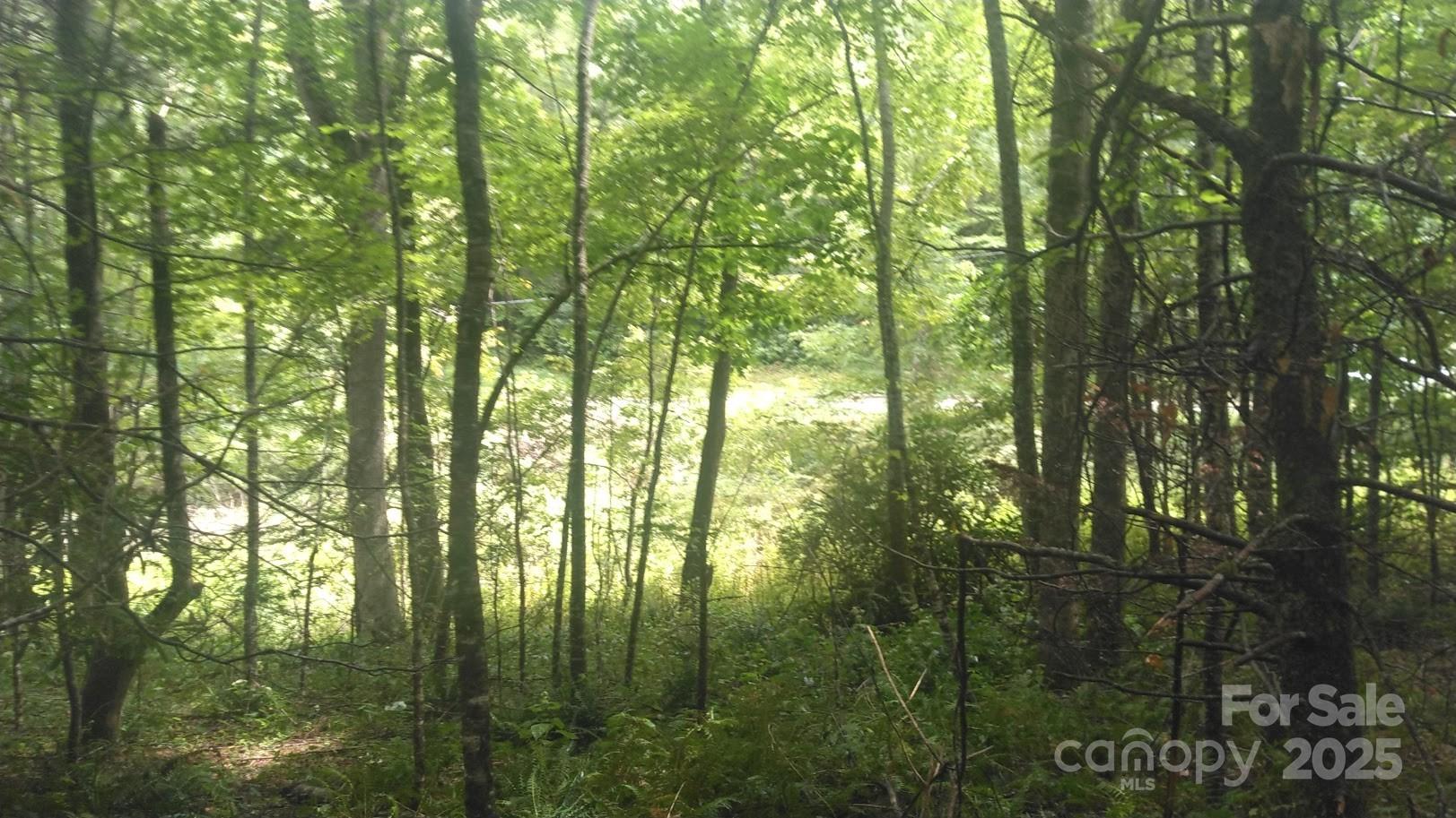 7360 Nc 183 Highway Newland NC 28657