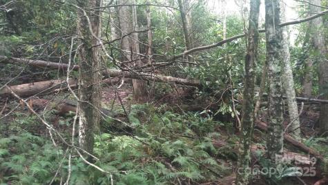 7360 Nc 183 Highway Newland NC 28657