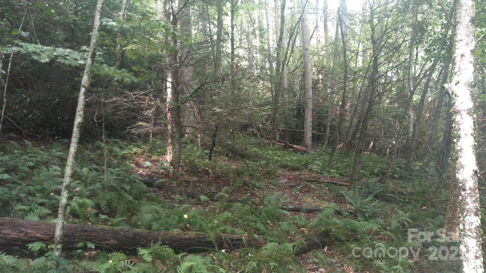 7360 Nc 183 Highway Newland NC 28657