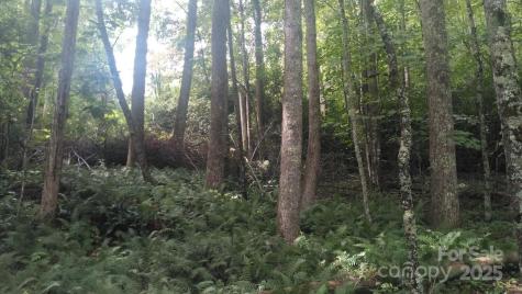 7360 Nc 183 Highway Newland NC 28657