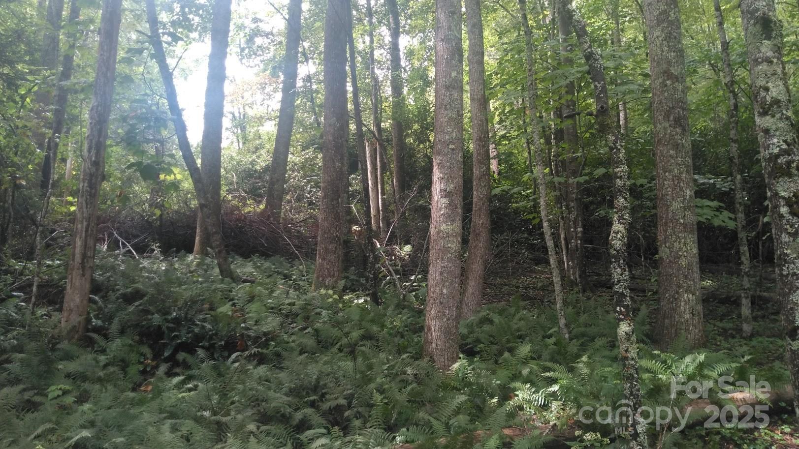 7360 Nc 183 Highway Newland NC 28657