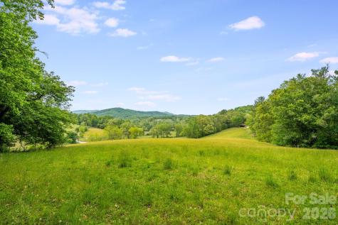 435 Upper Glady Fork Road Candler NC 28715