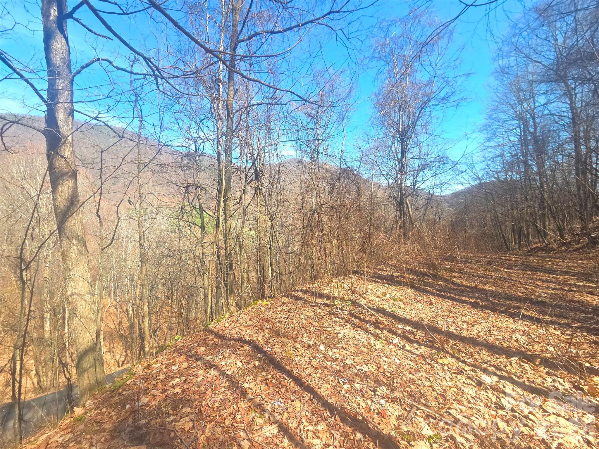 1200 Chestnut Flats Lane Waynesville NC 28786