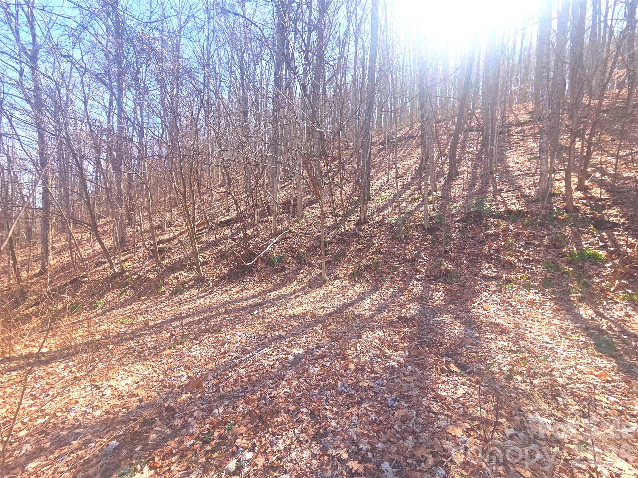 1200 Chestnut Flats Lane Waynesville NC 28786
